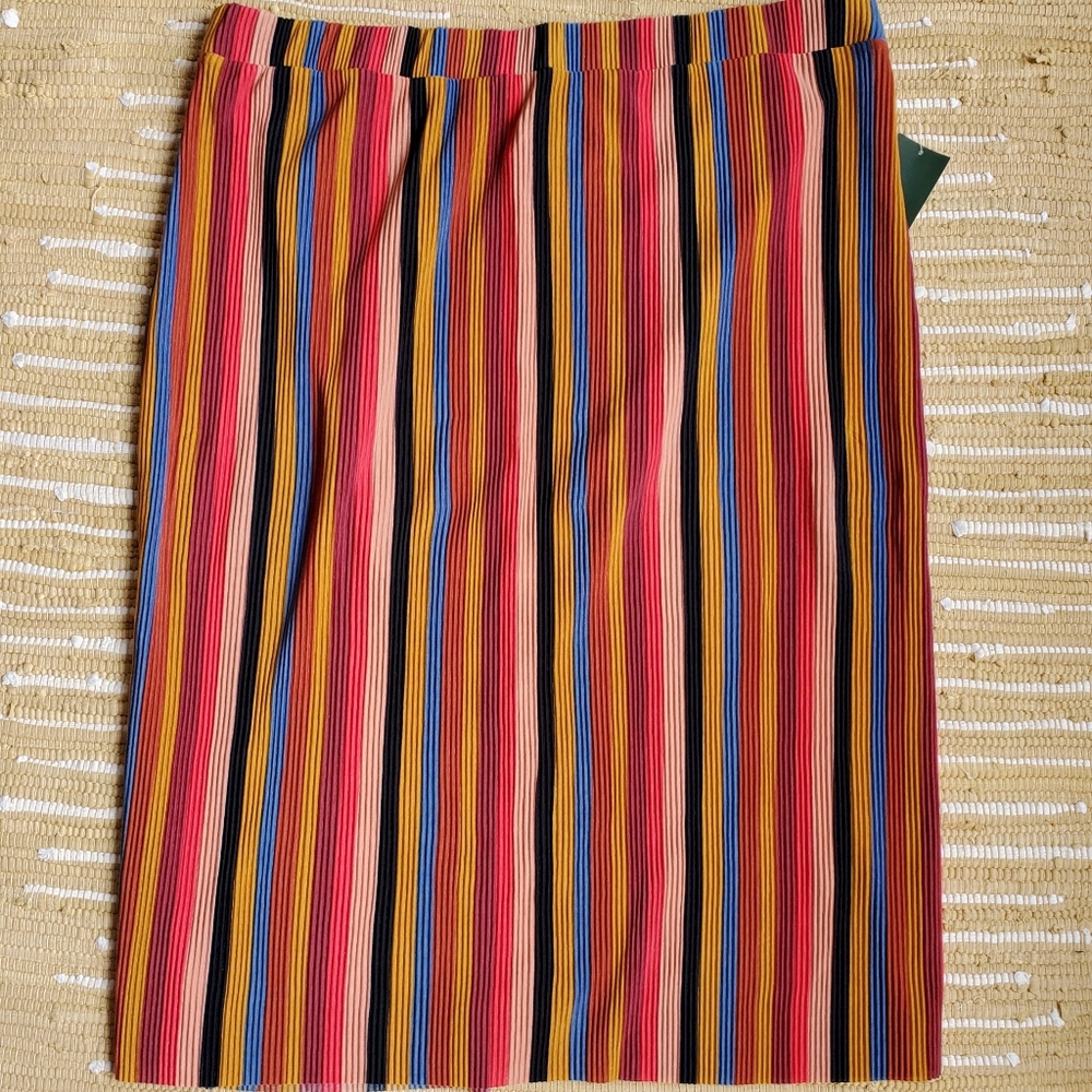 Wild fable striped midi skirt